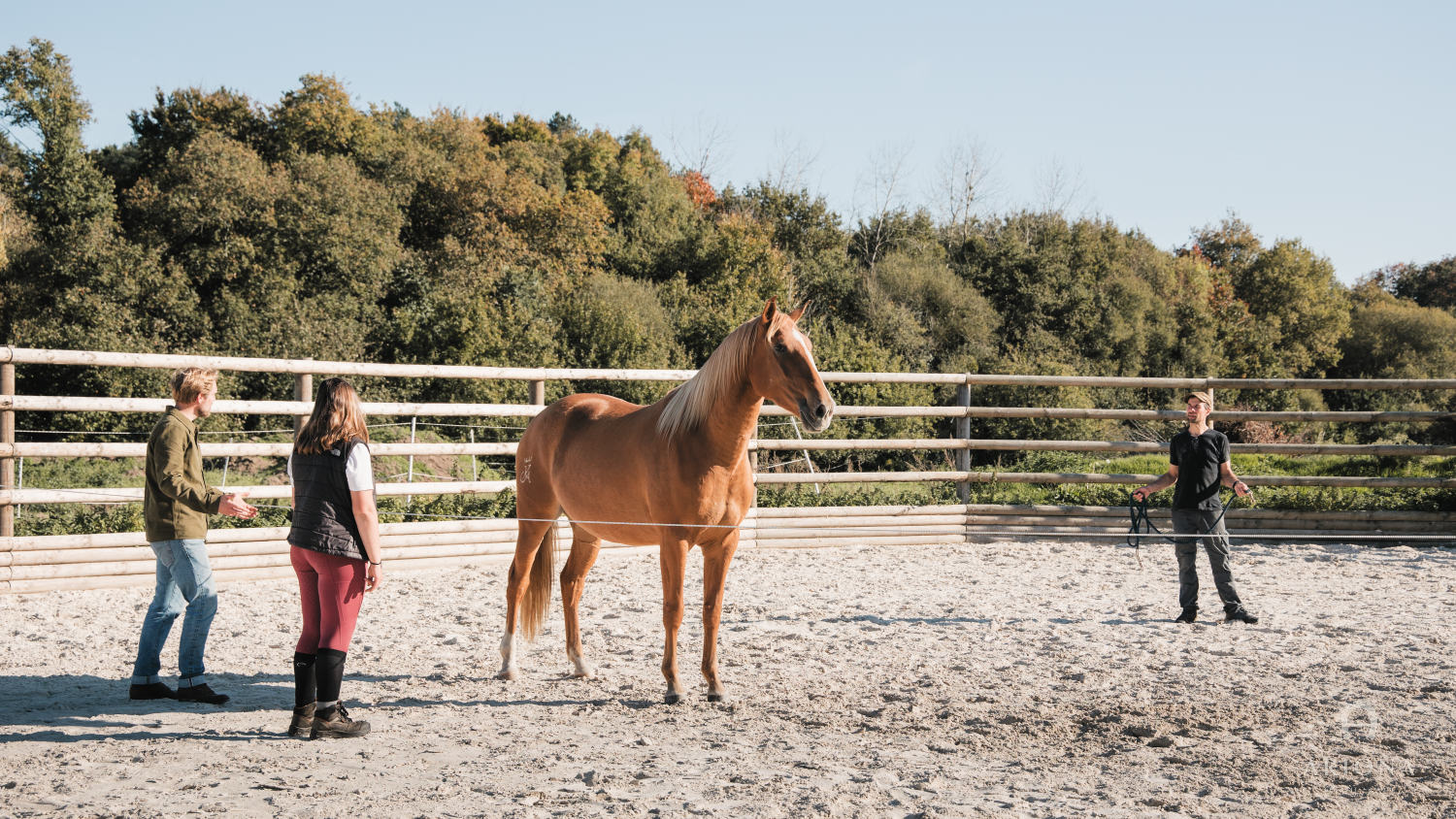 Cheval