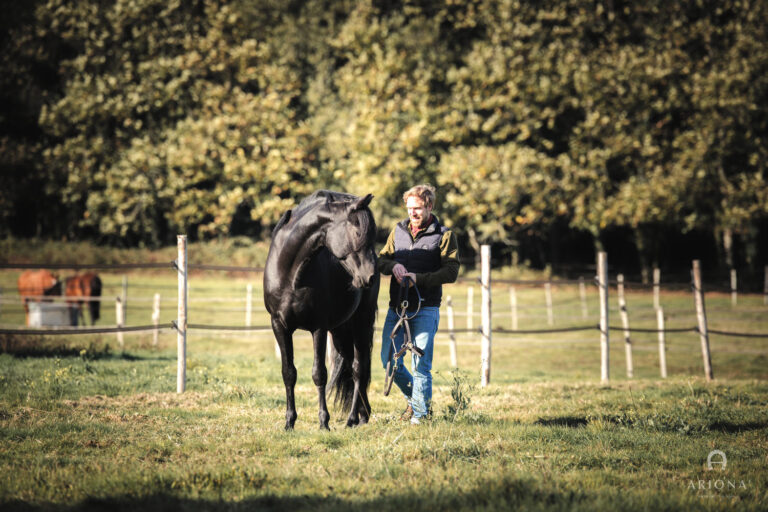 Préparer son cheval pour l&rsquo;automne : la check-list de l&rsquo;écurie