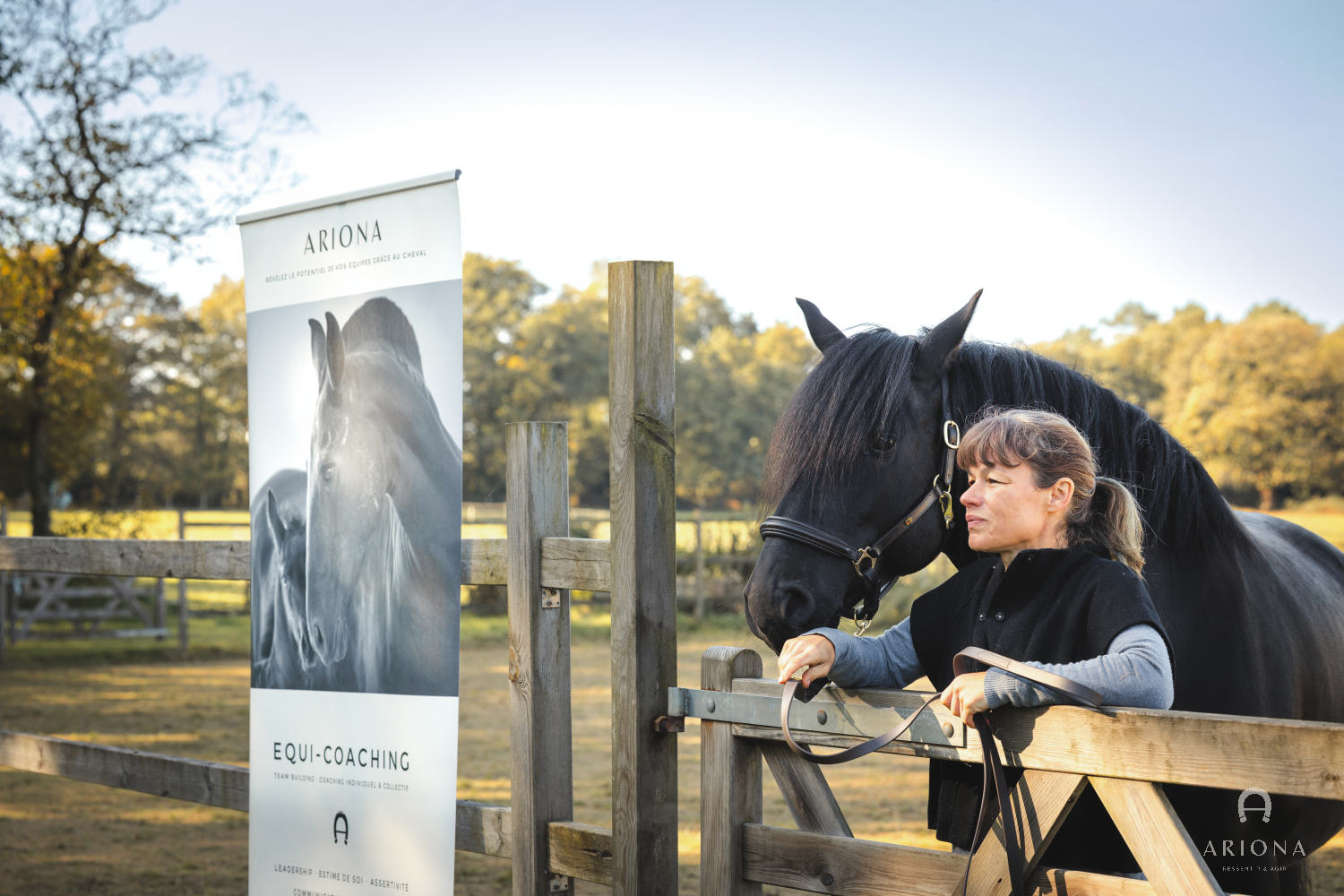 Cheval — Les Écuries d'ARIONA