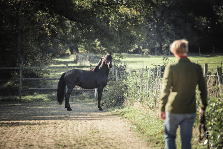 Le poney, un formidable professeur pour les enfants