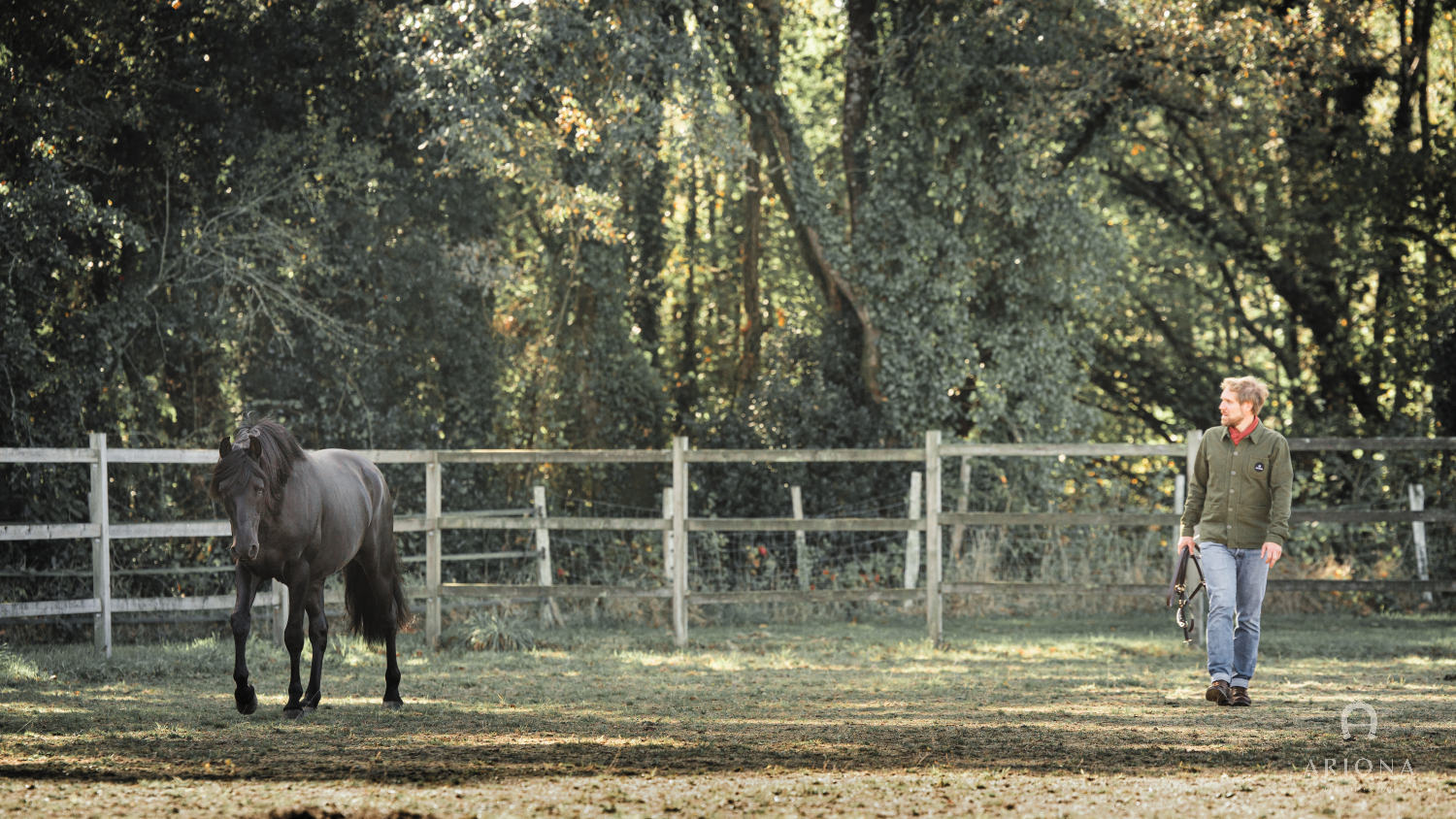 Cheval — Les Écuries d'ARIONA