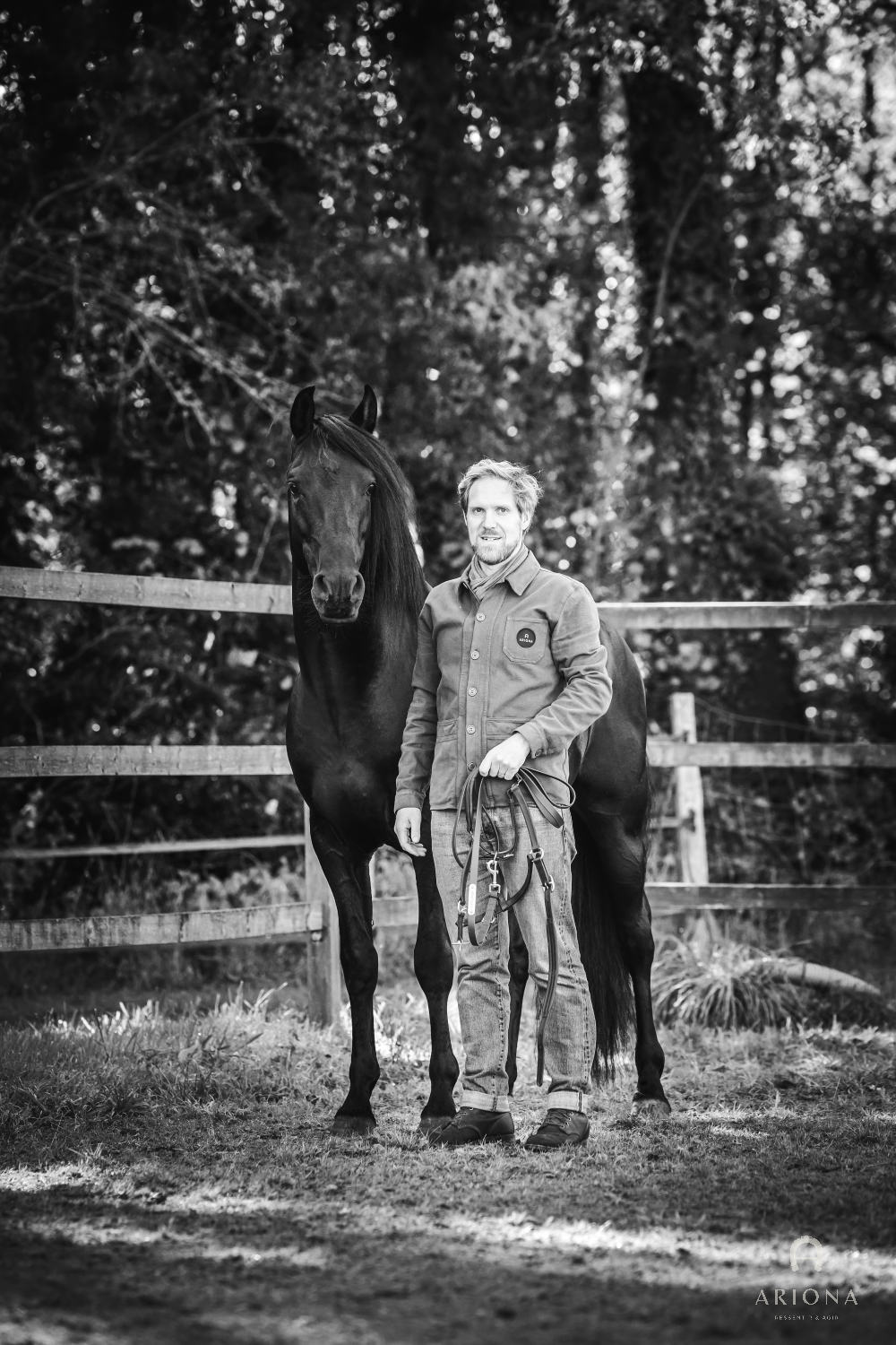 Cheval — Les Écuries d'ARIONA