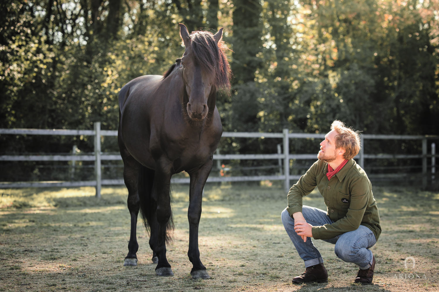 Cheval — Les Écuries d'ARIONA