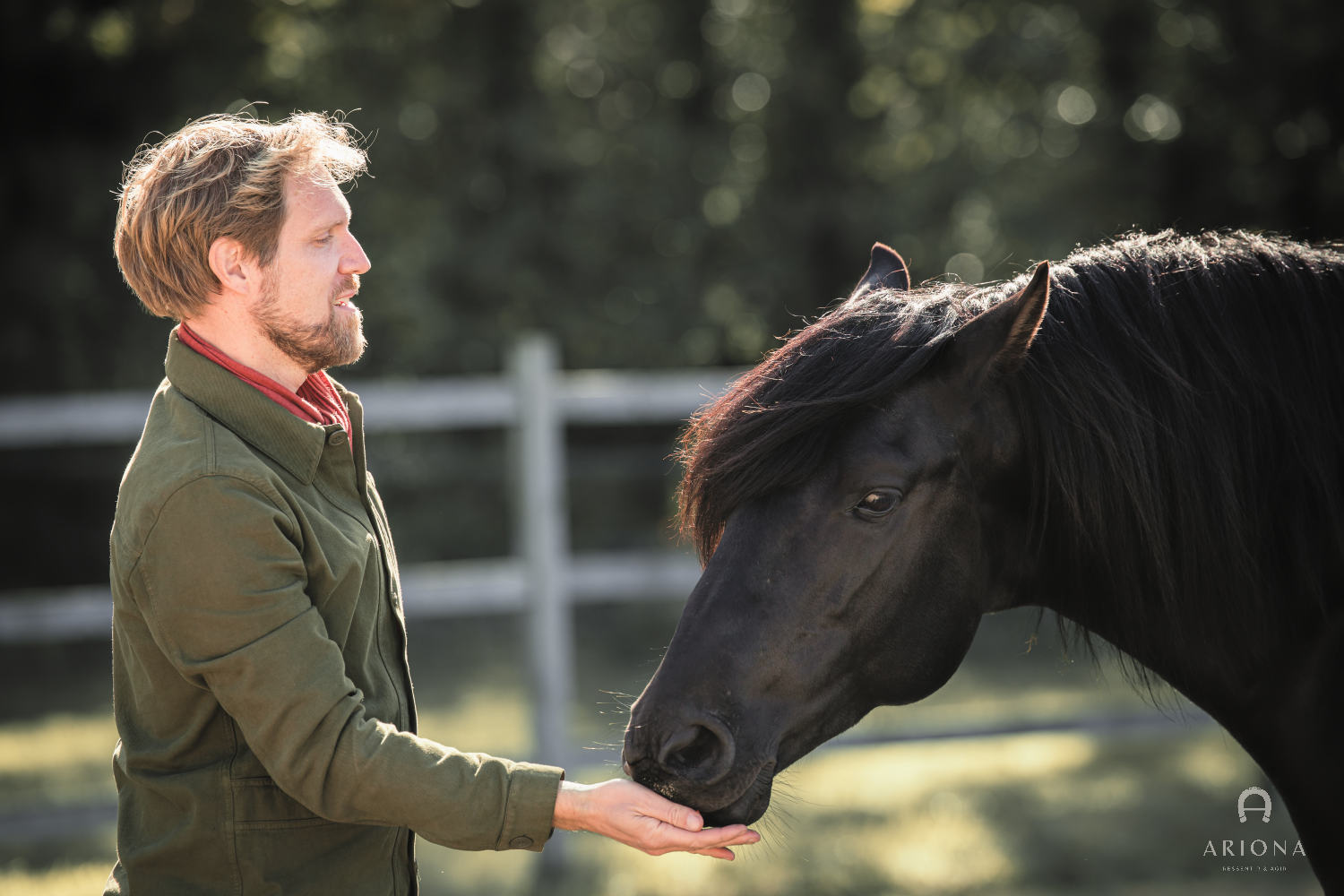 Cheval — Les Écuries d'ARIONA