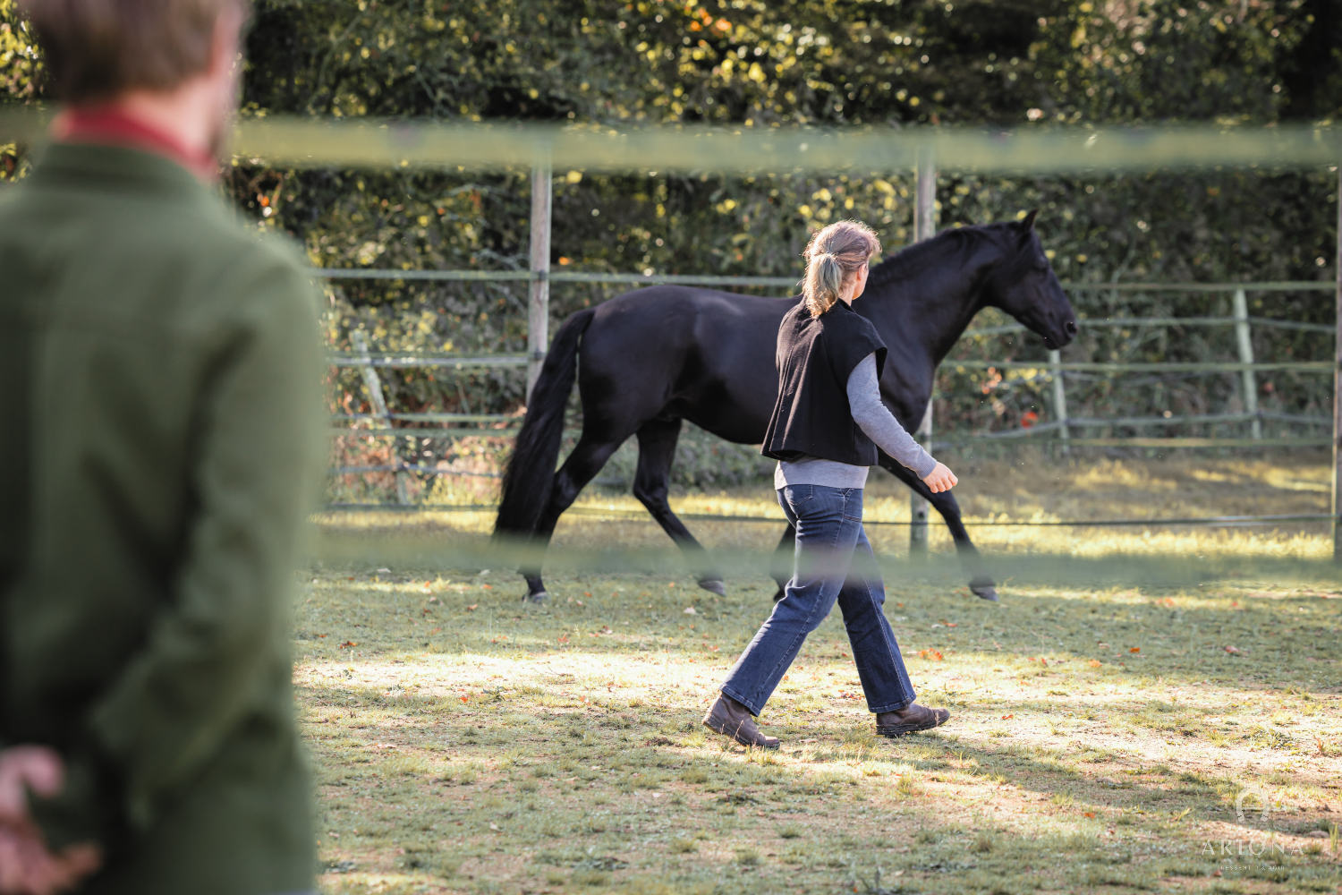 Cours d'équitation aux Écuries d'ARIONA, Bretagne