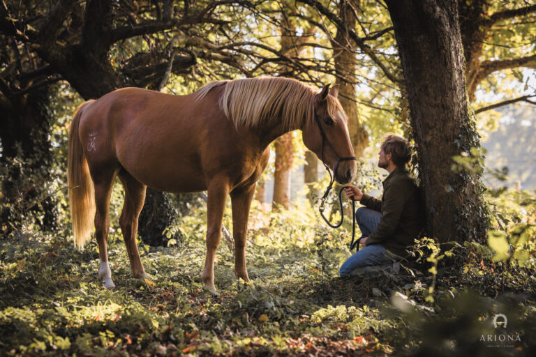 Bien choisir la pension de son cheval en Bretagne