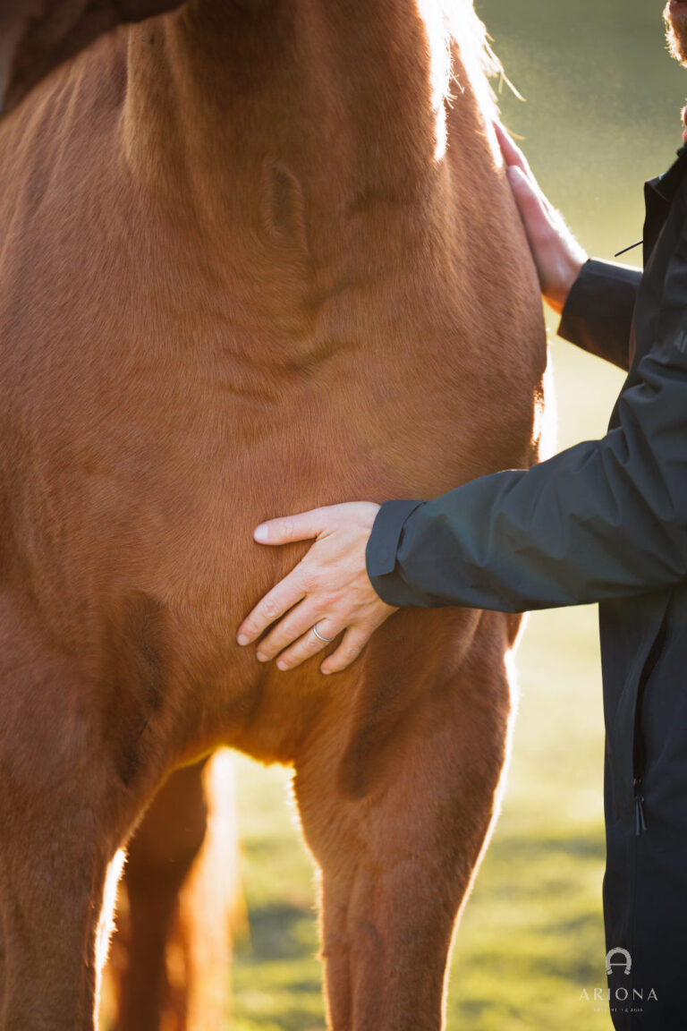 Concours de printemps : retour sur une belle journée pour nos cavaliers